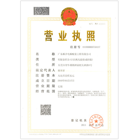 Business License