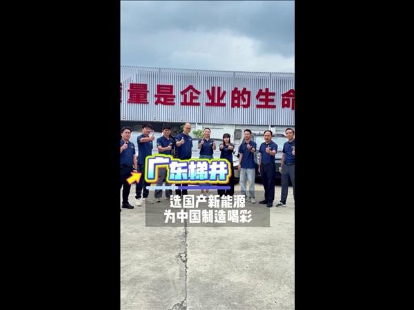 国产新能源